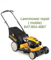 Lawnmower rep air on the spot ( mobile )( house calls )