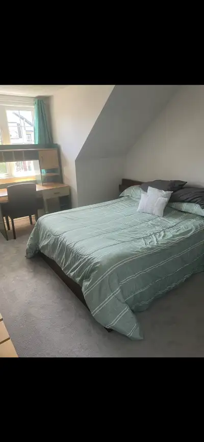 1 bedroom $800