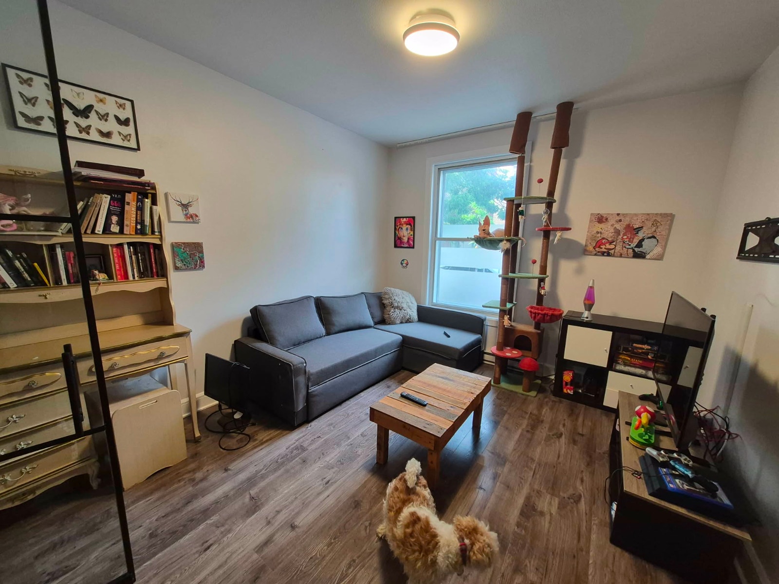 Grand appartement meublé tout équipé – Hochelaga — photo 2