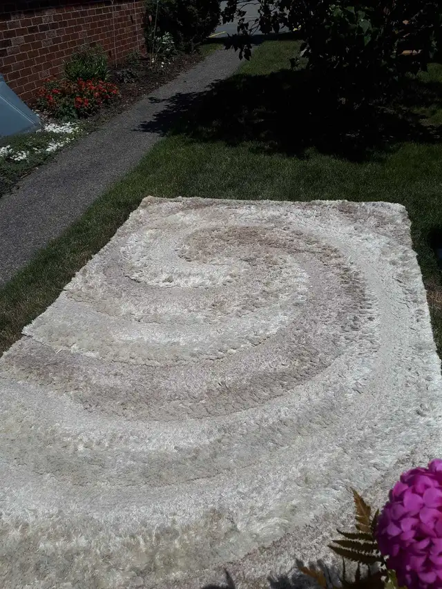 area  carpet rug in Rugs, Carpets & Runners in Ottawa - Image 4