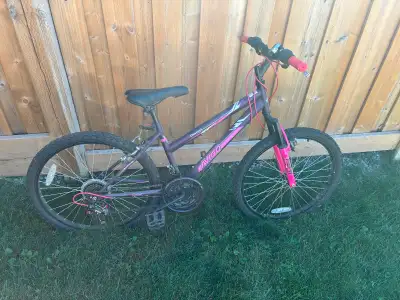 Avigo Descent Mountain Bike, View more