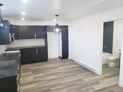 Appartement 3 1/2 à louer disponible immédiatement