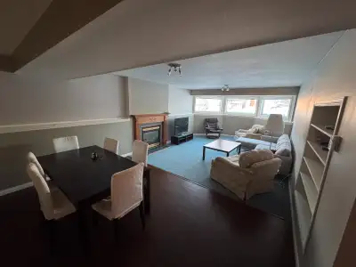 Ready to bask in the bright summer days? This stunning, spacious 2-bedroom half above ground basemen...