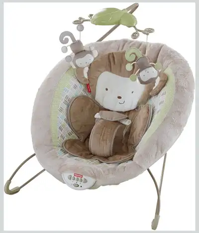 Fisher-Price Infant Bouncer, View more