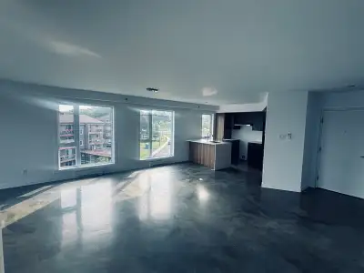 Libre immédiatement, grand 3 1/2 + bureau (chambre invité ) Lévis centre-ville. 4 ème et dernière ét...