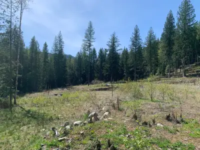 10 Acres Build-Ready Land – 3 Min from Fruitvale BC – Septic Installed – Flat Land – $449,000 10-acr...