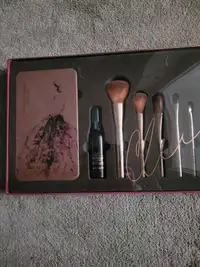 Deluxe cosmetic brush set