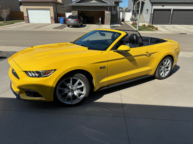 SALE - 2015 FORD MUSTANG GT CONV. PREMIUM (50TH ANNIVERSARY.) in Cars & Trucks in Medicine Hat - Image 2