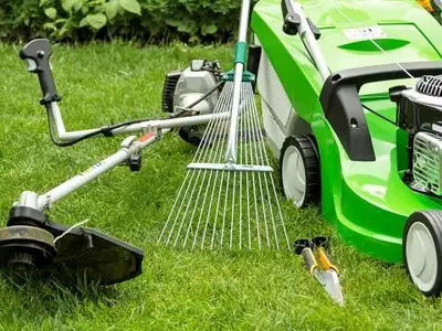 Lawn Maintenance, View more