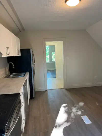 Bright and clean 1-bedroom apartment available in a well-maintained house in Hamilton. This unit is...