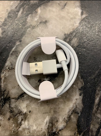 Apple iPhone/ipad charger 