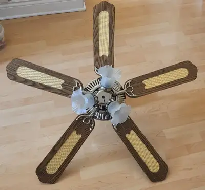 https://starlightlighting.ca/wind-river-fan-company/wr1422n/52-ceiling-fan Nice ceiling fan. Works w...