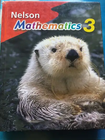 Grade 3 Nelson Mathematics, View more