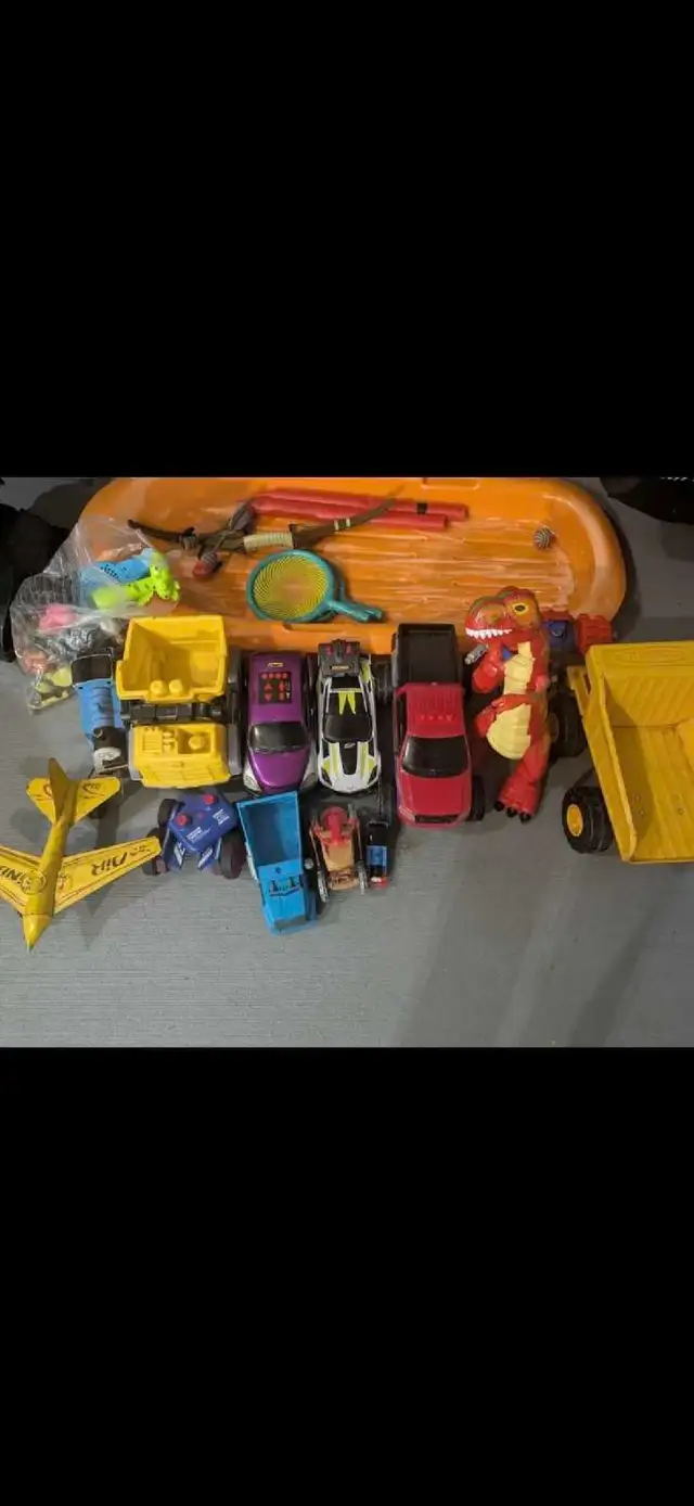 Assorted Toy Lot