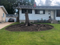 Stump grinding and root removal