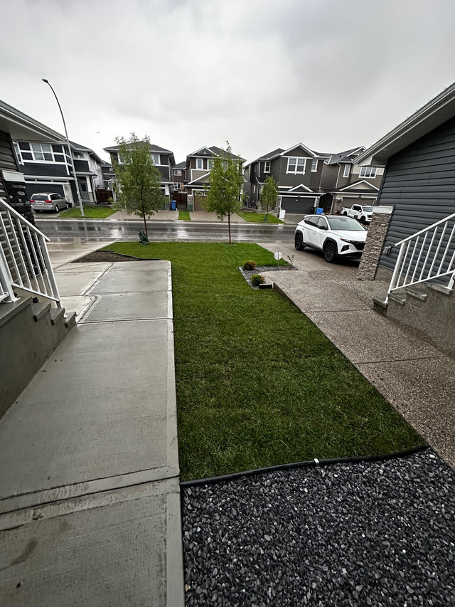 Landscaping, SOD Installation, Lawn, rock in Renovations, General Contracting & Handyman in Calgary - Image 4