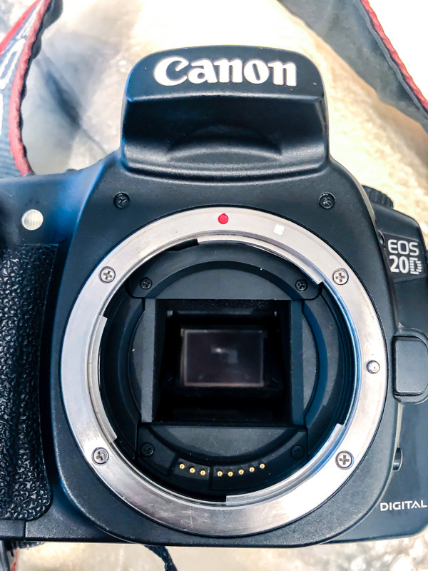 Canon EOS 20D DSLR Camera with EF-S 18-55mm f/3.5-5.6 Lens in General Electronics in Hamilton - Image 2