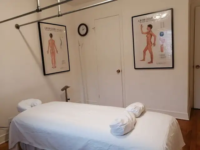 Libérez Vos Douleurs : Massage Thérapeutique MTC & Bien-être  in Massage Services in City of Montréal - Image 5