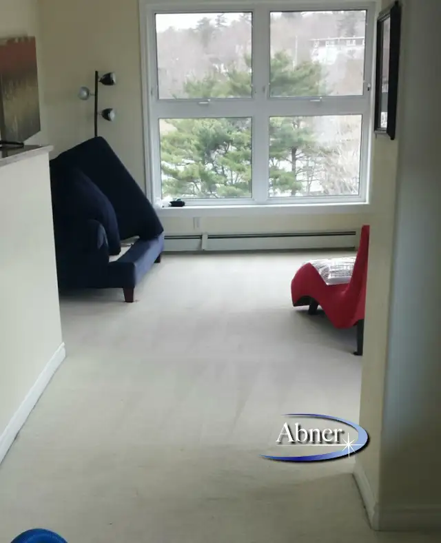 Professional Carpet & Upholstery Steam Cleaning Specials62866659738753122