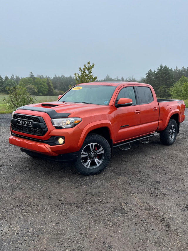 2016 TOYOTA TACOMA TRD SPORT in Cars & Trucks in Yarmouth - Image 2