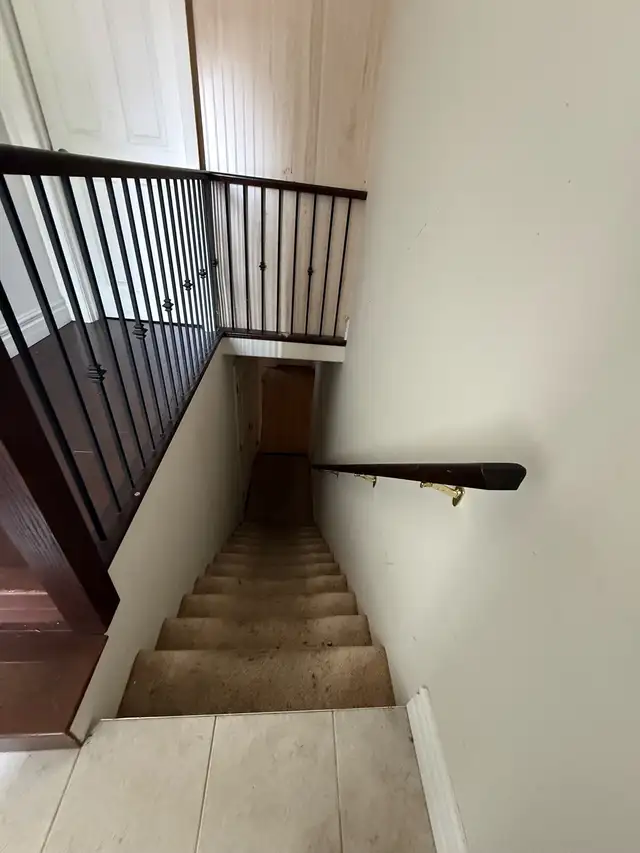 One Room for Rent