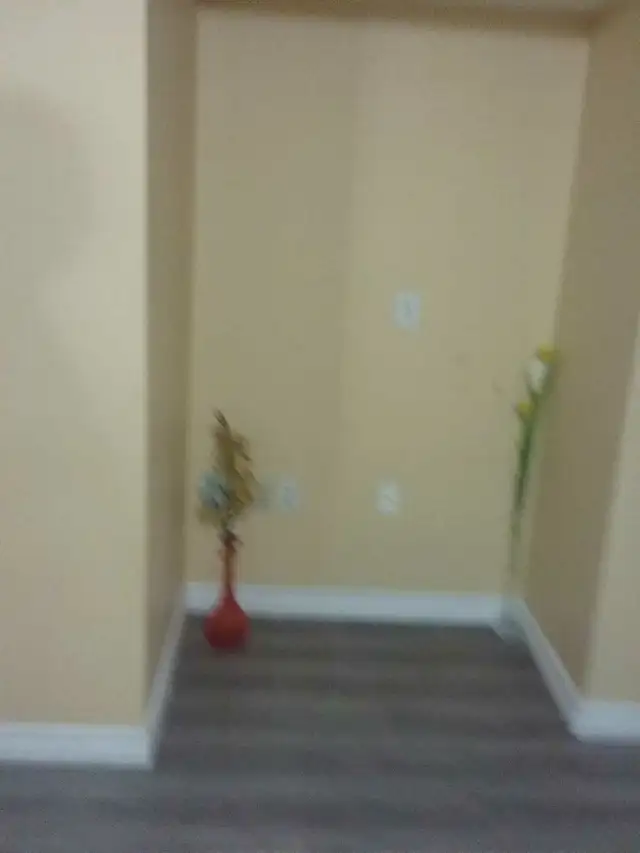 2 bedrooms furnished Basement
