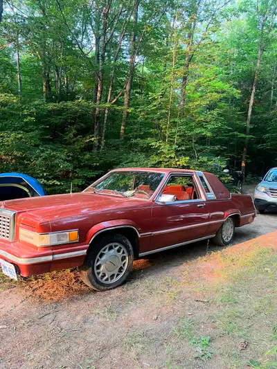 Looking to sell my 81 ford thunderbird 302 v8 2 barrel carb motor needs some body work nothing to bi...