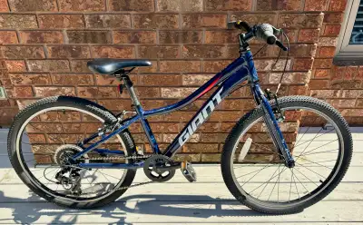 Giant xtc jr 24 kids bike 2022 model, View more