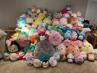  Welcome to our Squishmallow's Extravaganza! 