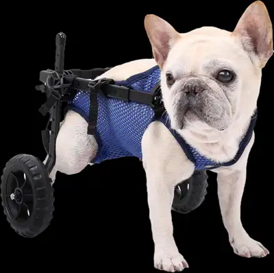 Dog / cat  Wheelchair , View more