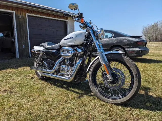 2006 Harley Davidson 1200 Sportster in Street, Cruisers & Choppers in St. Albert - Image 5