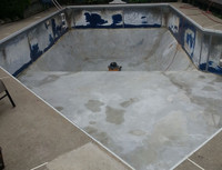 Deluxe Swimming Pool Opening $300