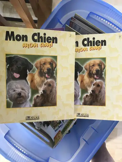 Collection de chiens en  plâtre (80), View more