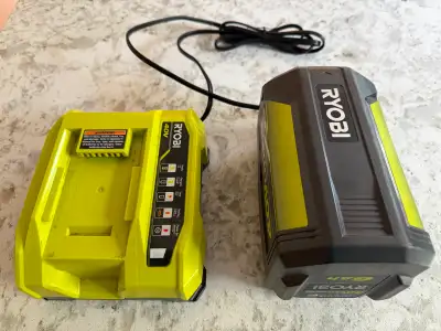 Ryobi 40V 6ah high capacity battery with fast charger, View more