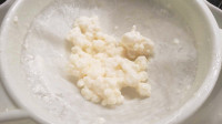 Live Organic Milk Kefir grains (per 1 tbsp)