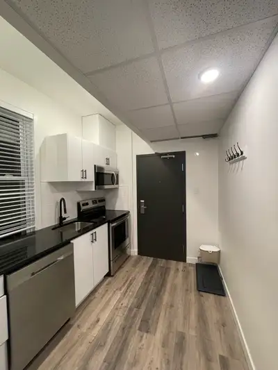 Fully Furnished 1 Bed in Sandy Hill Uottawa