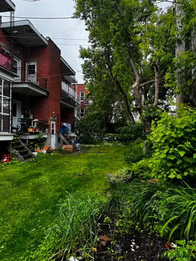 Renovated 4 1/2 for rent
