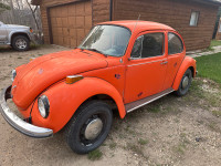 1969 vw beetle 