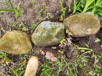 Free rocks boulders decorative garden
