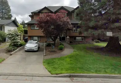 Above Ground Basement in North Poco (PORT COQUITLAM)