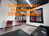 Must see! Commercial/Industrial/Office space in St Henri