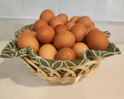 Free-Run Farm Fresh Eggs, View more