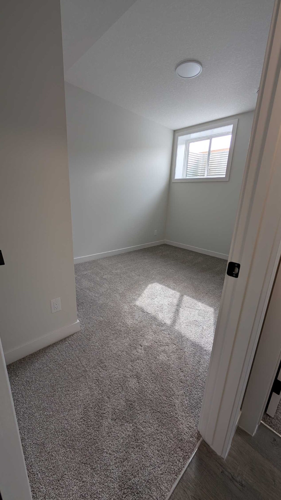 2BD Legal Basement Suite 5