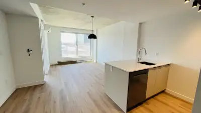 2198 Boul. de Maisonneuve E, Montreal 2 MONTHS FREE ! Metro: Papineau (Green line) ⭐️ AMENITIES: - R...