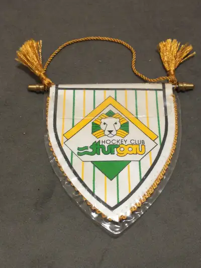 Beautiful HC Thurgau Swiss pro hockey team pennant , View more