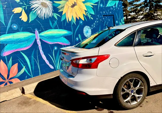 2014 Ford Focus SE508551406960650248