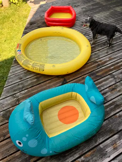 Petites piscines bébés / petits animaux / Mini swimming pools, View more