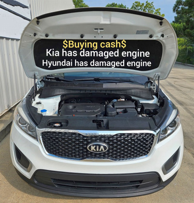 Buying $ Hyundai and Kia ( has damaged engine )