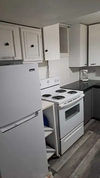 Furnished 2 bedroom basement suite available July 1,all Furnishings included .n/s n/d working person...