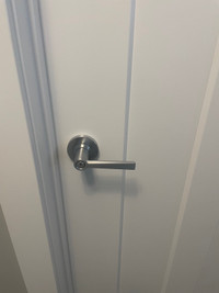 Silver Interior Door Hardware